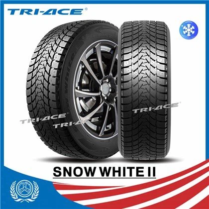 Spijkerbare winterbanden